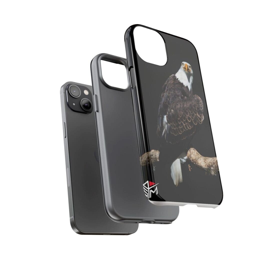 Two black phone cases with artistic designs for iPhone models.