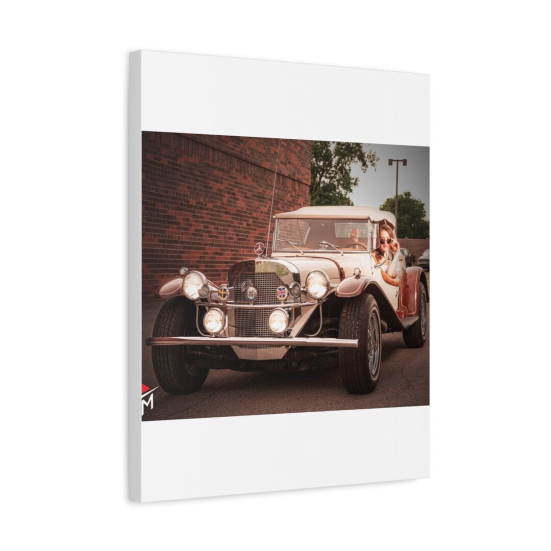 Vintage car parked in front of a brick wall with greenery.