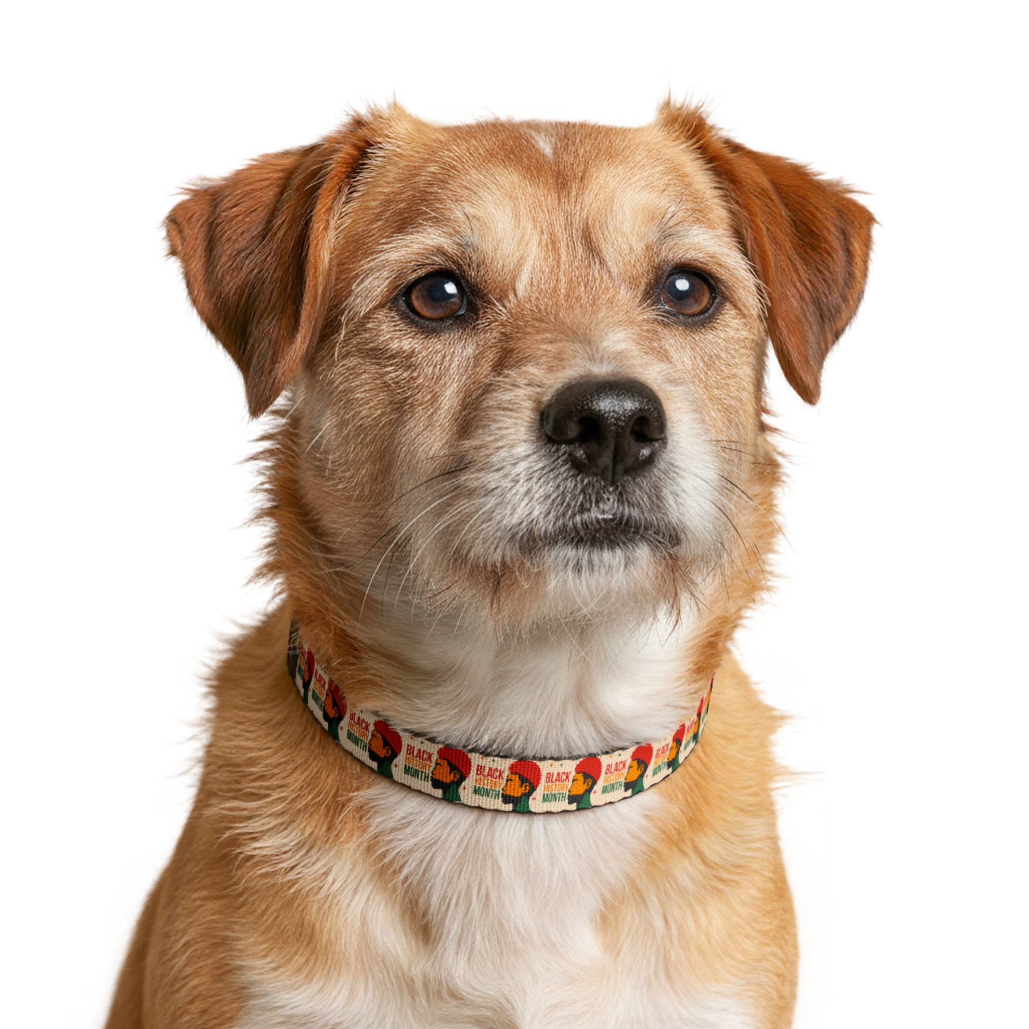 Black History Month Clip-On Pet Collar – Retro Pan-African Design